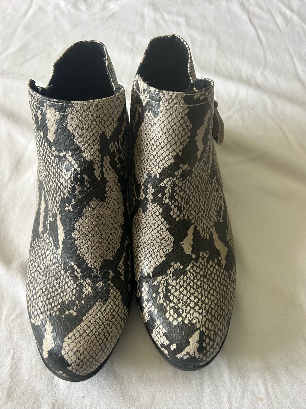 Arizona Jean Company Snake-Print Ankle Booties in Black and Cream